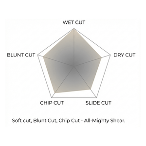 Feel Scissors USA - PROFEEL Hair Cutting Shears YW550 / YW600
